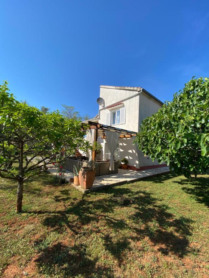 Beautiful Island House Ugljan Daire Dış mekan fotoğraf